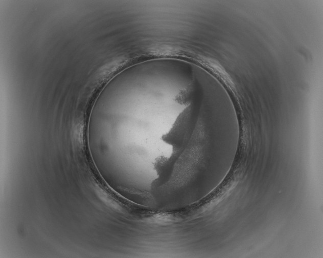 X0000114420441200910161232