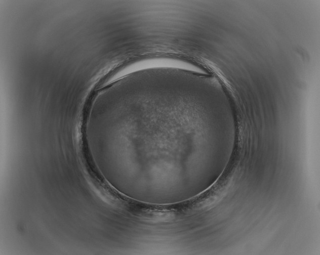 X0000114420443200910161232