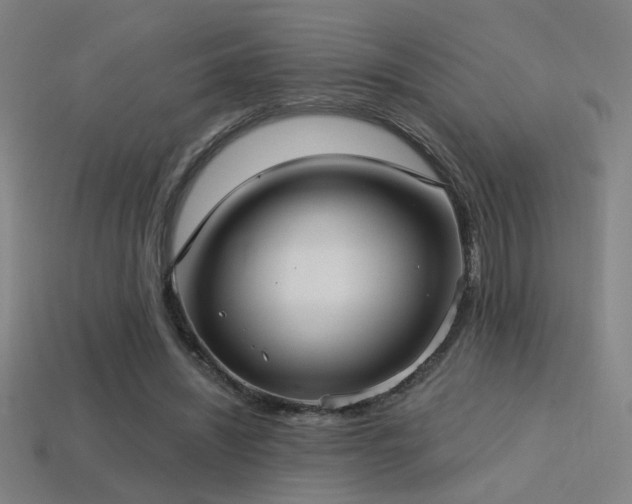 X0000114420444200910161232