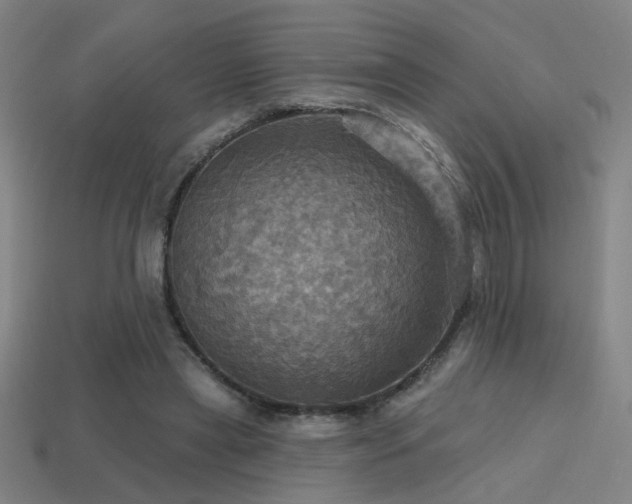X0000114420445200910161232