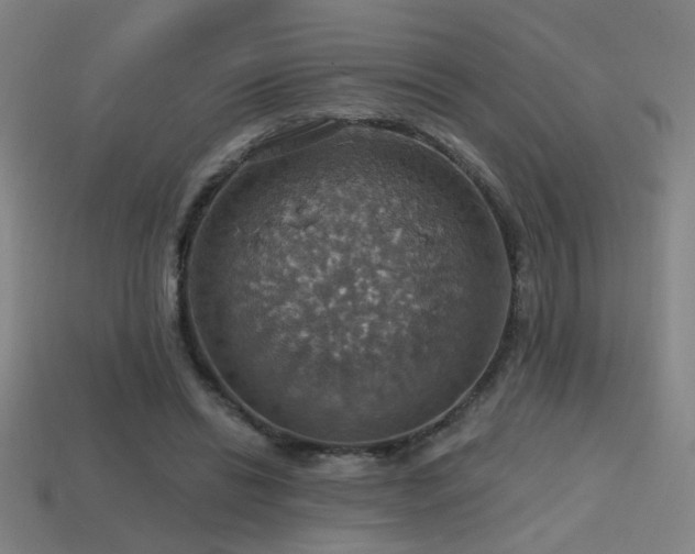 X0000114420446200910161232