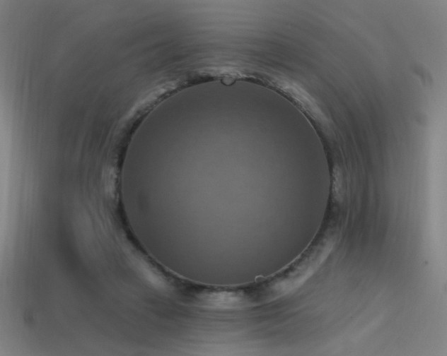 X0000114420449200910161232