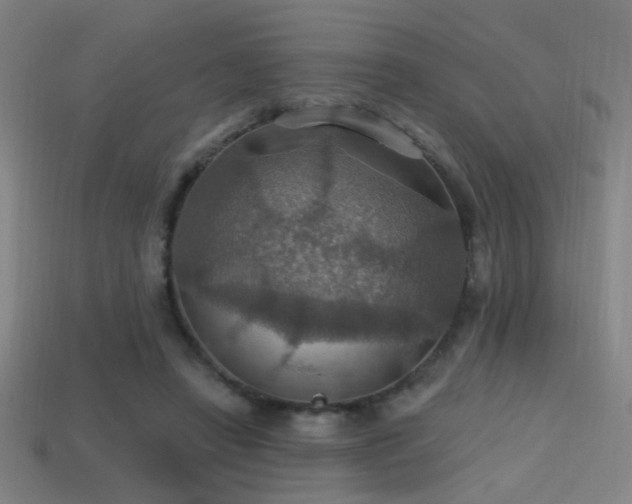 X0000114420450200910161232