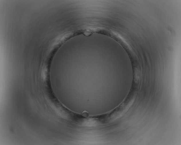 X0000114420451200910161232