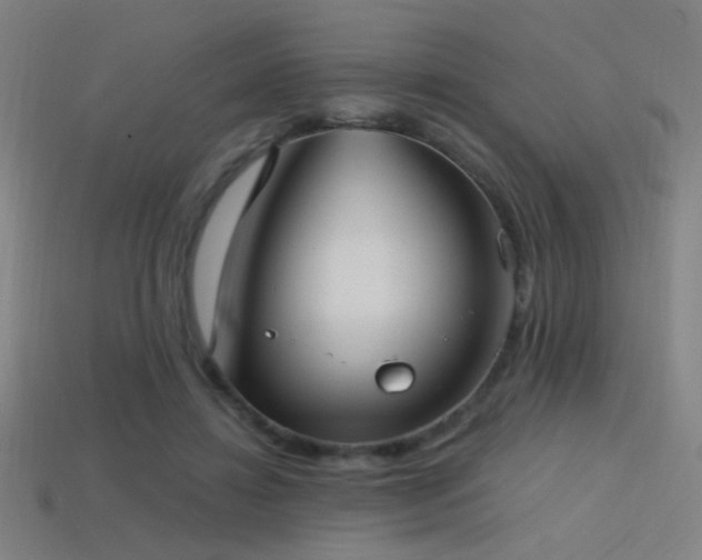 X0000114420452200910161232