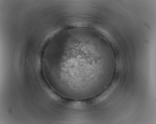 X0000114420453200910161232