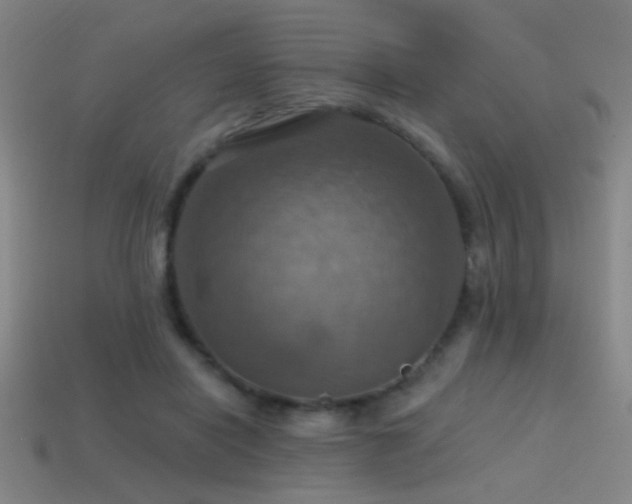X0000114420454200910161232