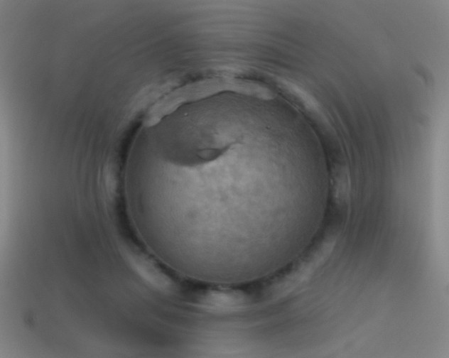 X0000114420455200910161232