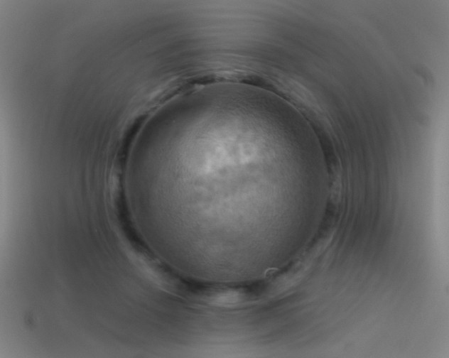 X0000114420456200910161232