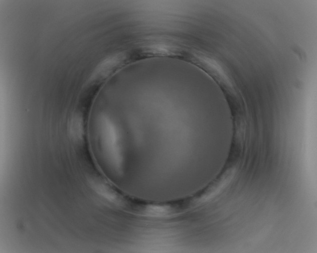X0000114420457200910161232