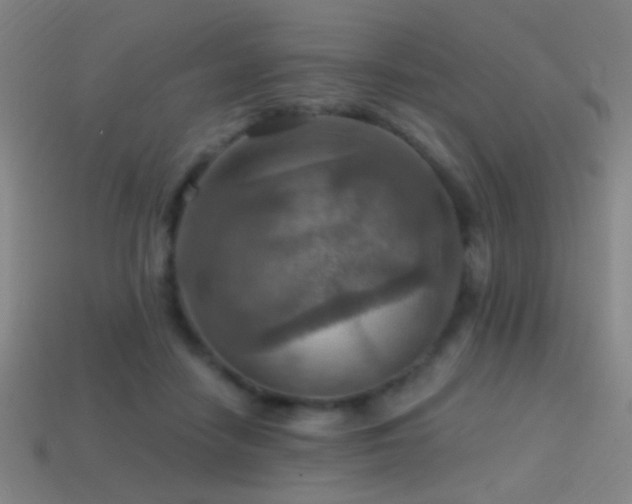 X0000114420458200910161232