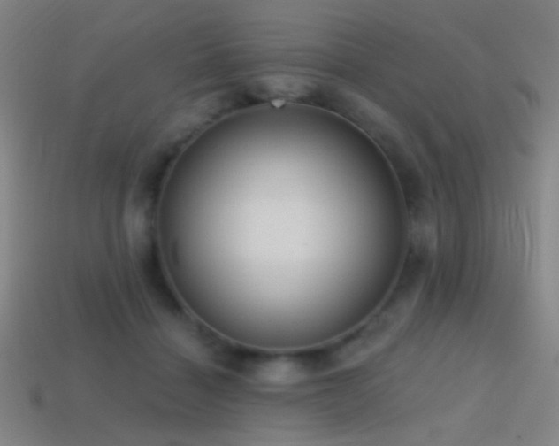 X0000114420460200910161232