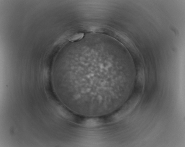 X0000114420461200910161232