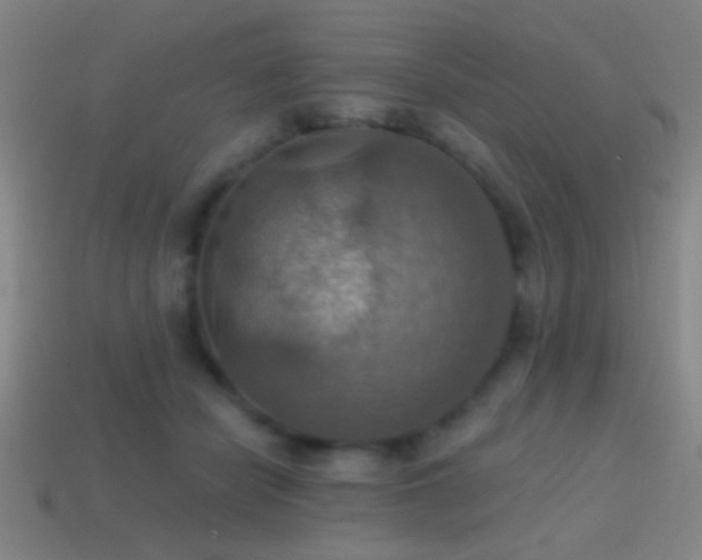 X0000114420462200910161232