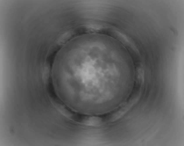 X0000114420463200910161232