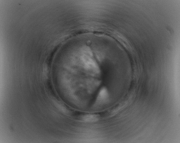 X0000114420465200910161232