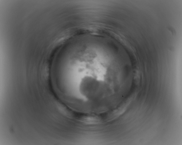 X0000114420466200910161232