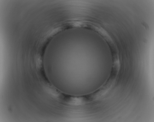 X0000114420469200910161232