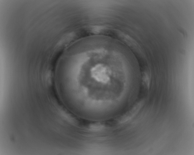 X0000114420470200910161232