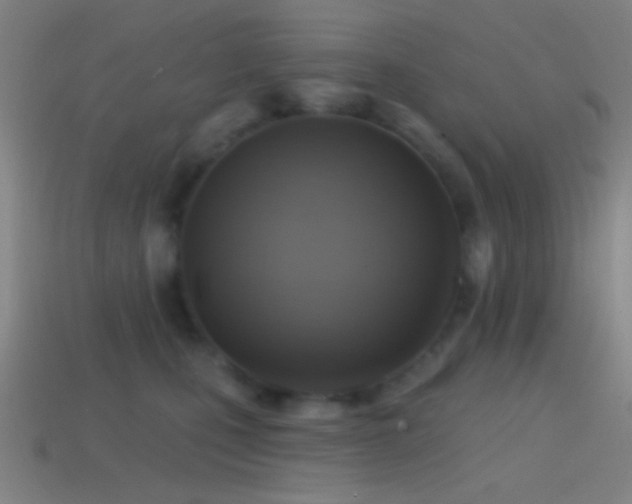 X0000114420471200910161232