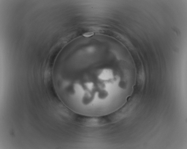 X0000114420473200910161232