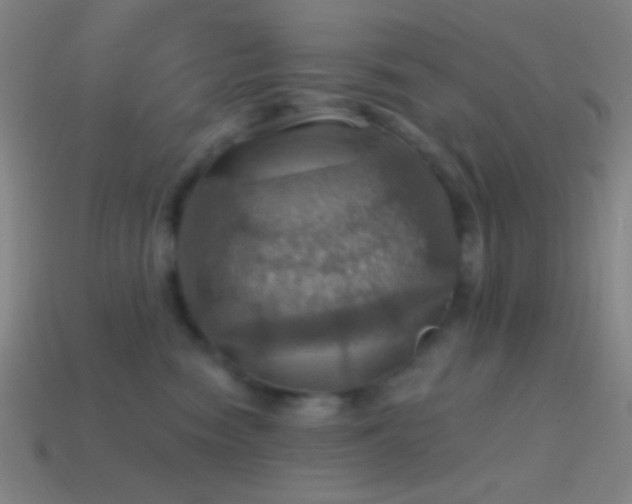 X0000114420474200910161232