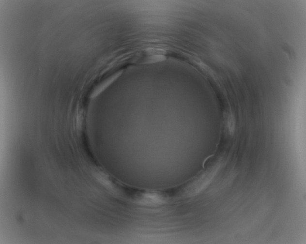 X0000114420475200910161232