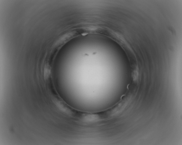 X0000114420476200910161232