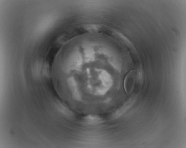 X0000114420477200910161232