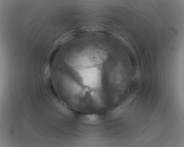 X0000114420478200910161232