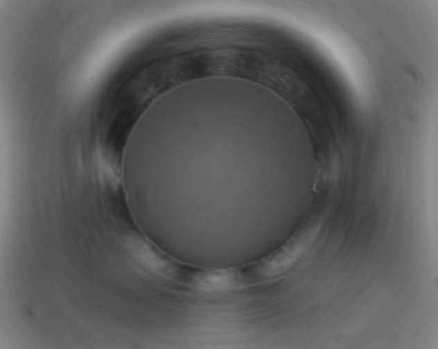 X0000114420479200910161232
