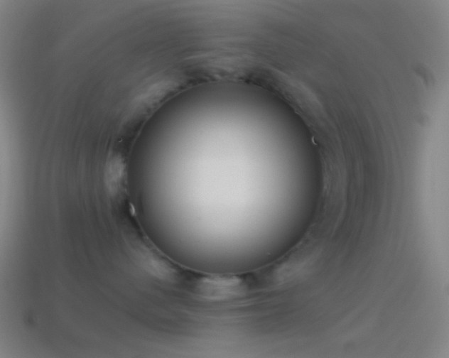 X0000114420480200910161232