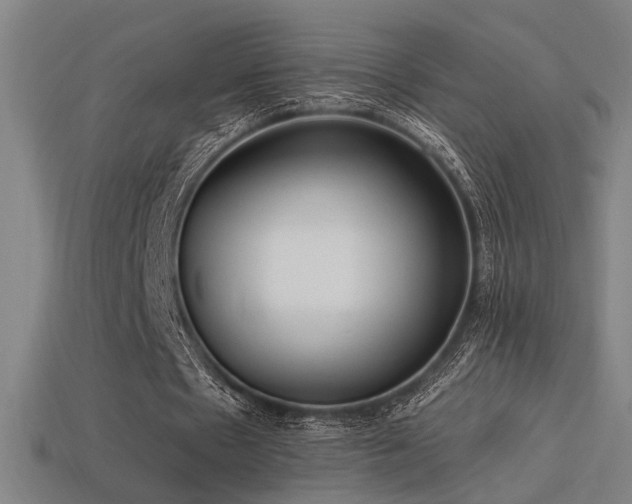 X0000114420481200910161232