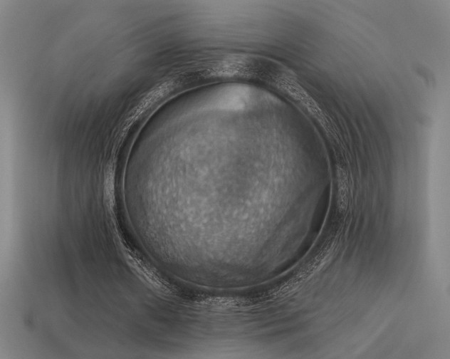 X0000114420482200910161232