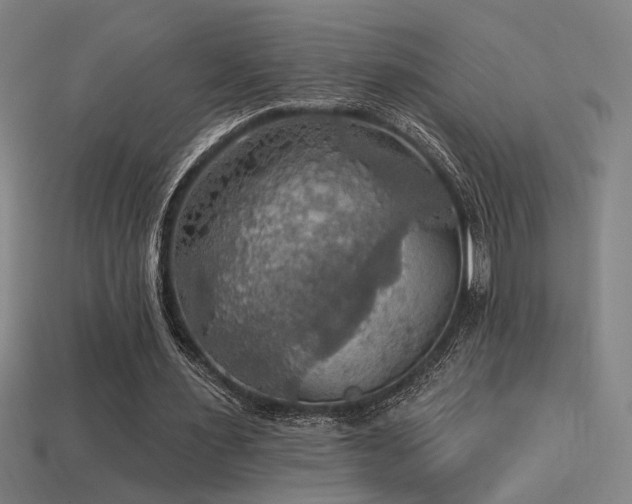 X0000114420483200910161232