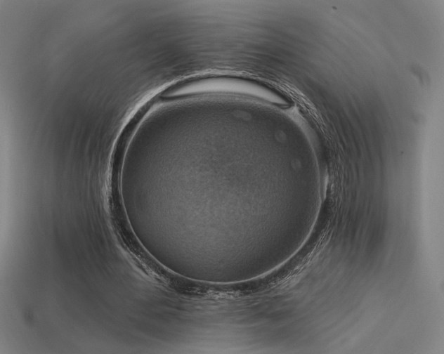 X0000114420484200910161232