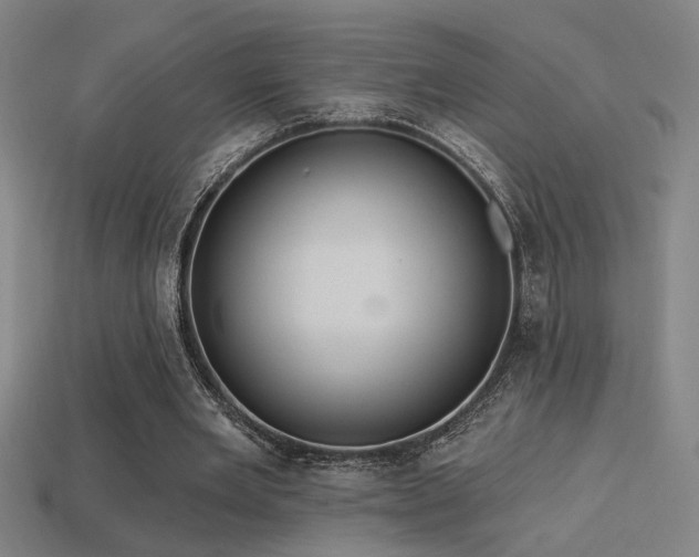 X0000114420485200910161232