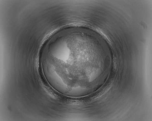 X0000114420486200910161232