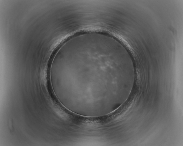 X0000114420487200910161231
