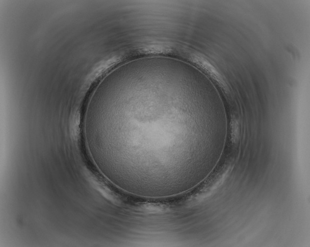 X0000114420490200910161231