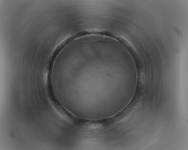 X0000114420491200910161231