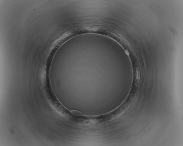 X0000114420492200910161231