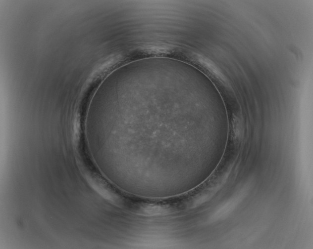 X0000114420494200910161231