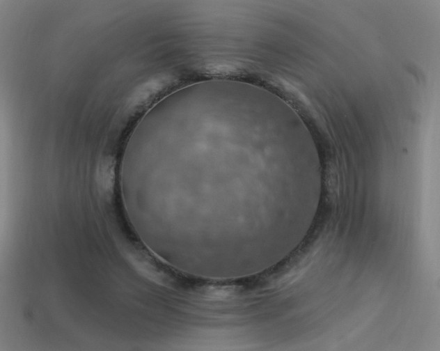 X0000114420495200910161231