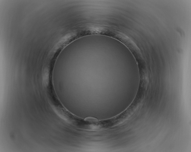 X0000114420496200910161231