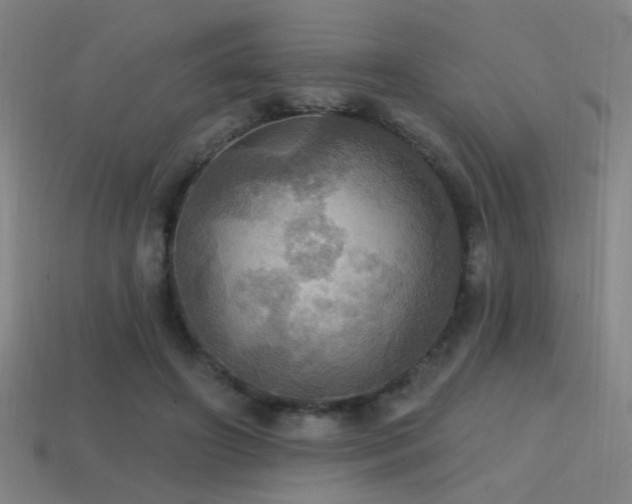 X0000114420498200910161231