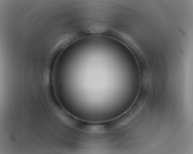 X0000114420501200910161231
