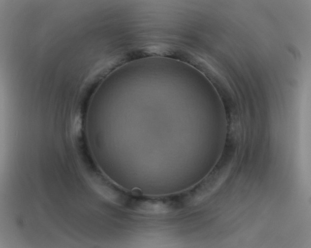 X0000114420502200910161231
