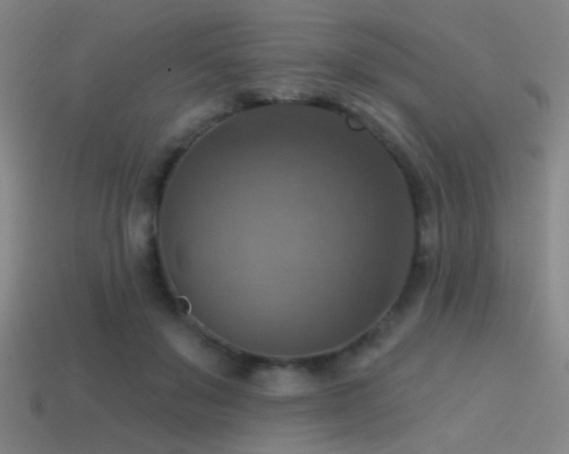 X0000114420503200910161231