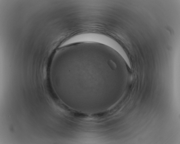 X0000114420504200910161231